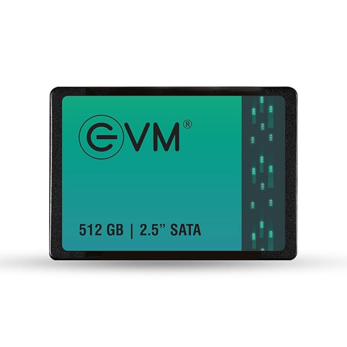 EVM 512GB 2.5-inch SATA SSD