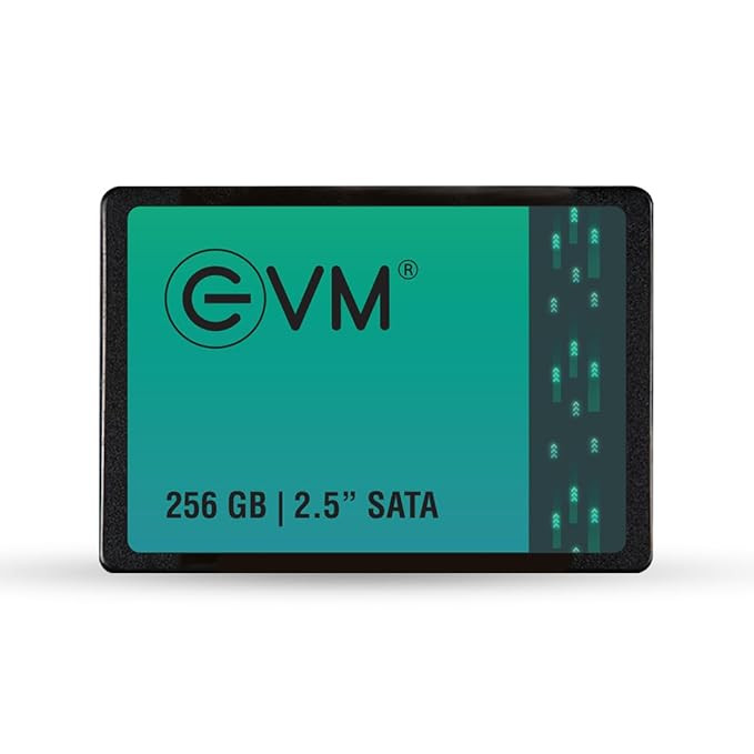 EVM 256GB 2.5-inch SATA SSD